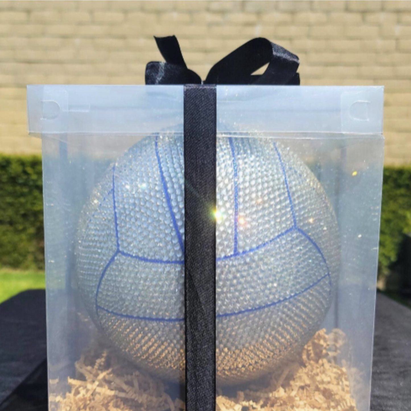 Blinged Volleyball