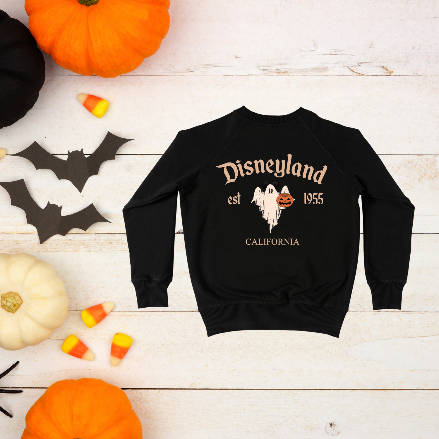 Boo Disneyland Est. Spooky T-Shirt
